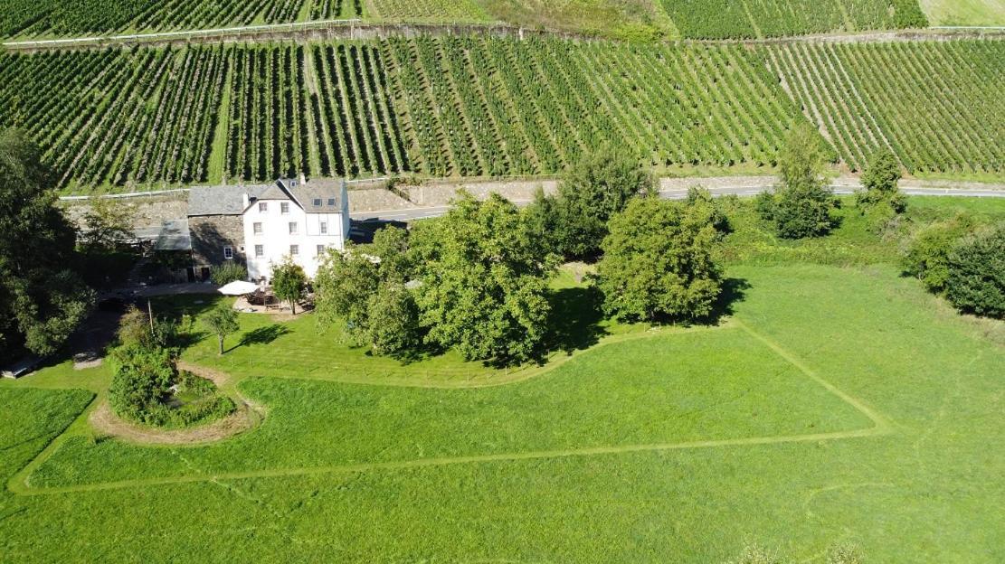 Livi'S Landhaus Neumagen-Dhron Luaran gambar